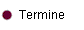 Termine